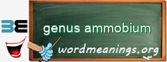 WordMeaning blackboard for genus ammobium